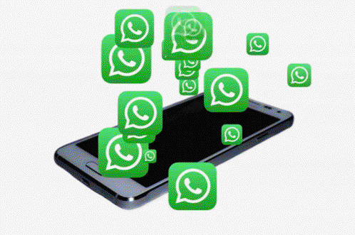 Whatsapp GIF - Whatsapp GIFs