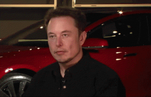 Tugcekulas Elon Musk GIF - Tugcekulas Elon Musk Tugce GIFs