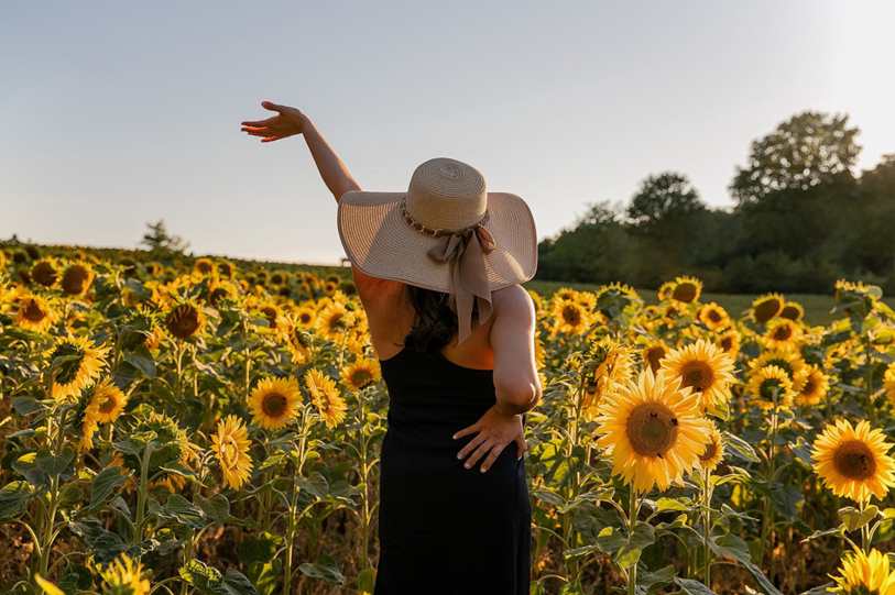 https://unsplash.com/pt-br/fotografias/Xfs4JHzLR-g